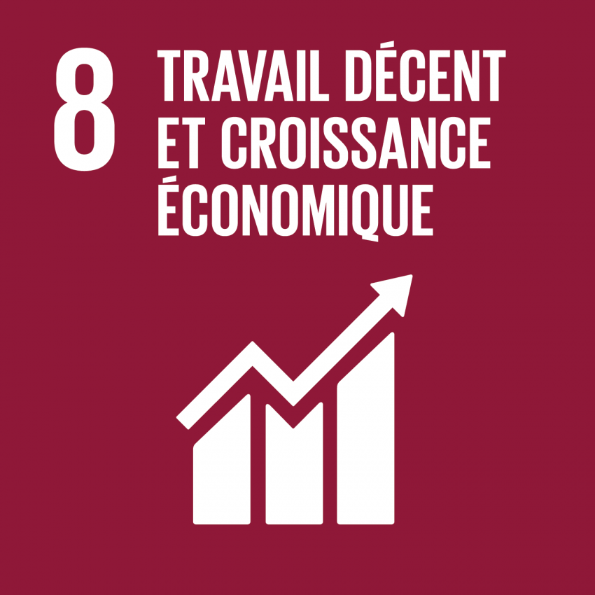 SDG 8 — Decent work and economic growth